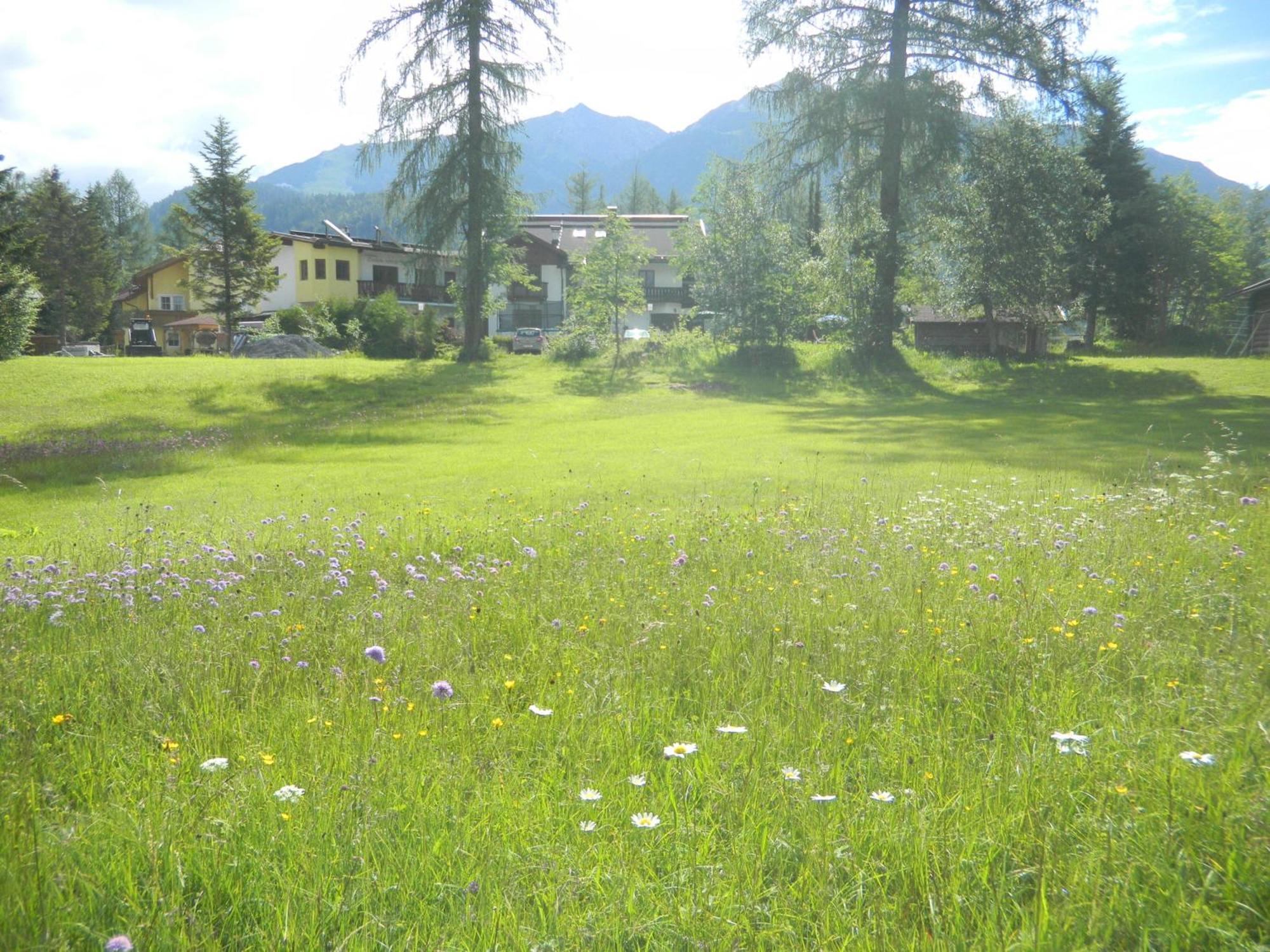 Landhaus Charlotte Am Geigenbuehel -Apartments Зеефельд в Тироле Экстерьер фото
