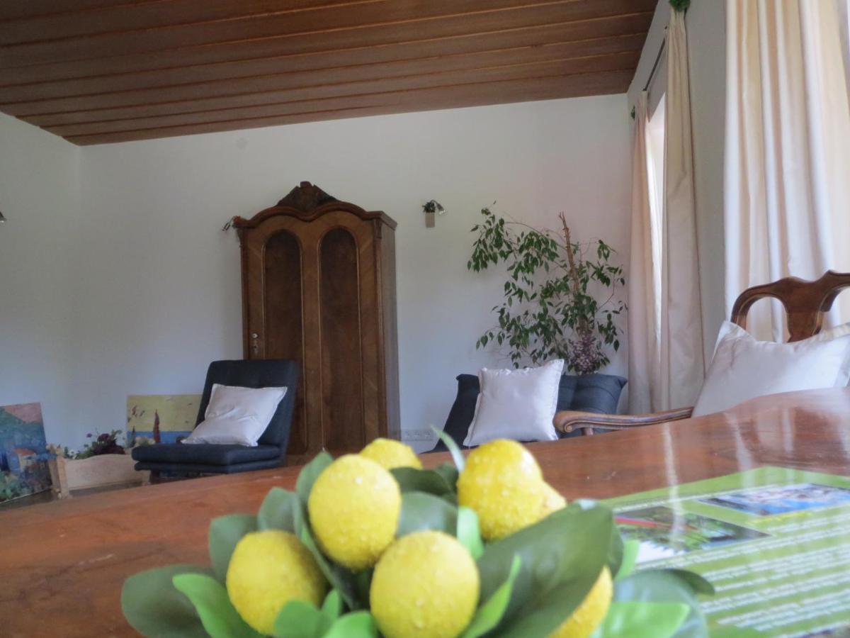 Landhaus Charlotte Am Geigenbuehel -Apartments Зеефельд в Тироле Экстерьер фото